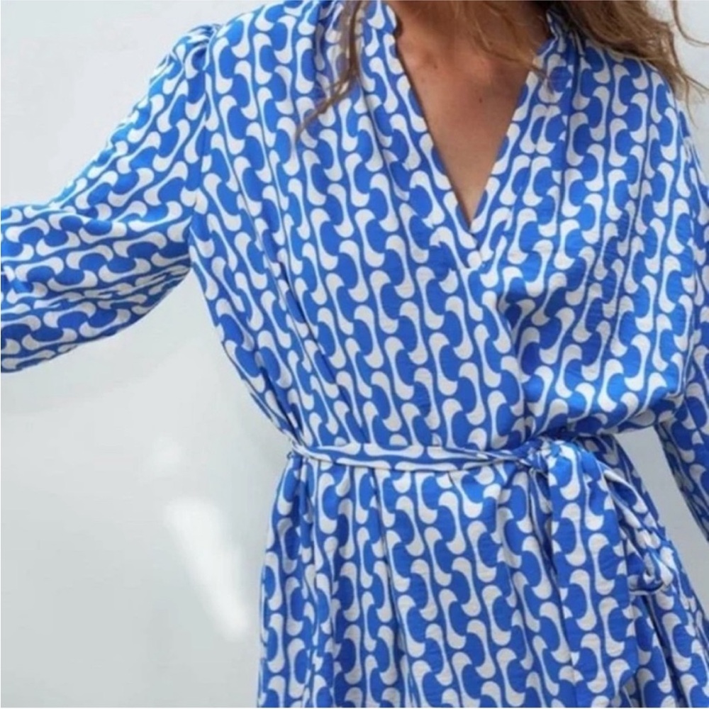 Zara Paula Dress View 3